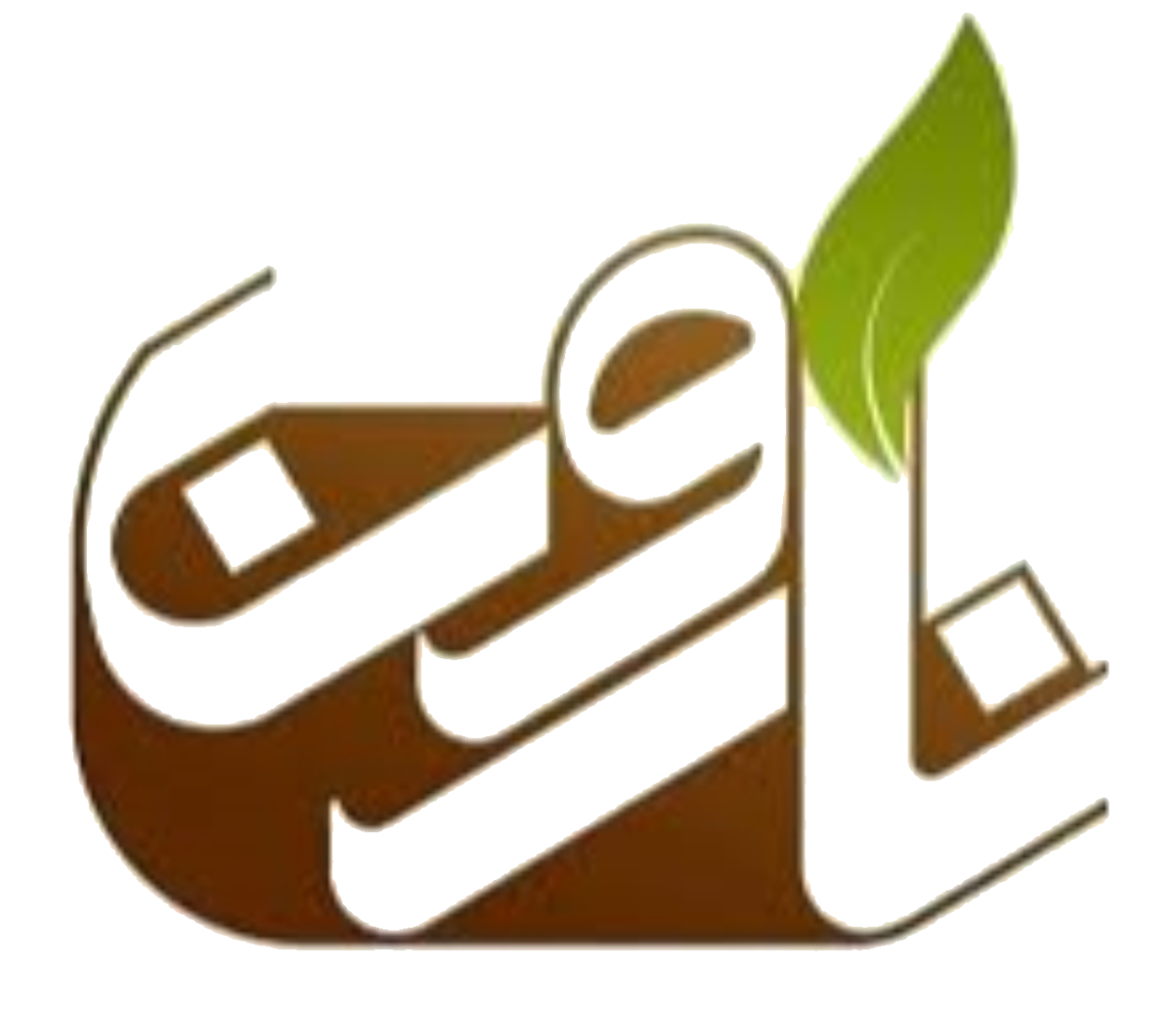 نارون کارتن