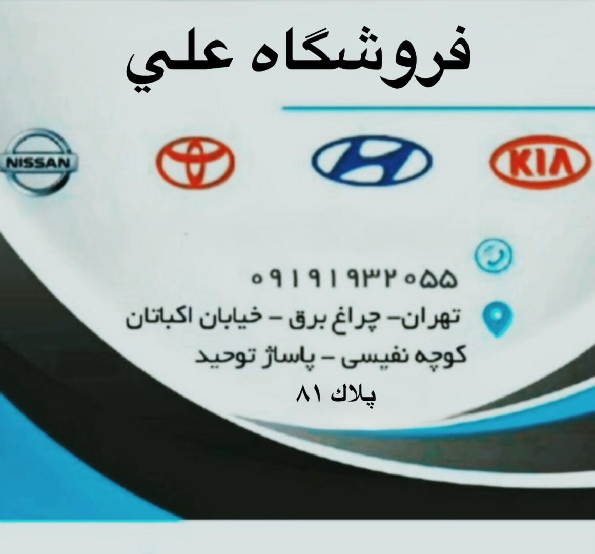 گروه نیسان جوک.ایکس تریلر.ماکسیما.مورانو.رونیز.پیکاپ.پاترول 2