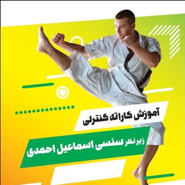 آموزش کاراته از پایه تا قهرمانی در کرج