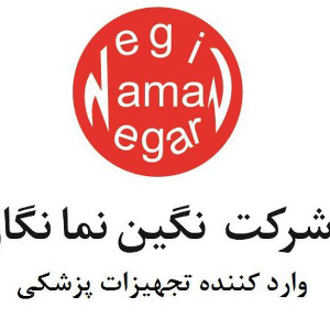 شرکت نگین نما نگار