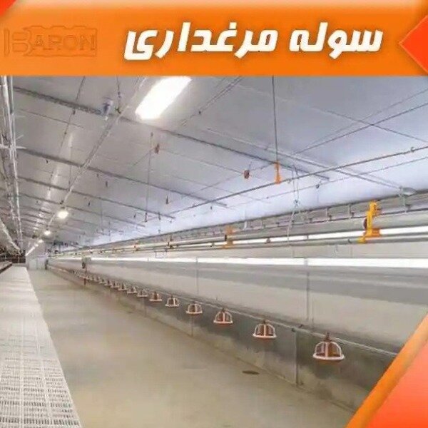 سوله مرغداری استاندارد | سوله بارون