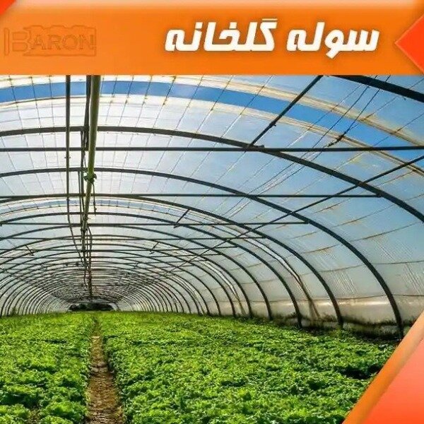 سوله گلخانه حرفه‌ای و استاندارد | سوله بارون