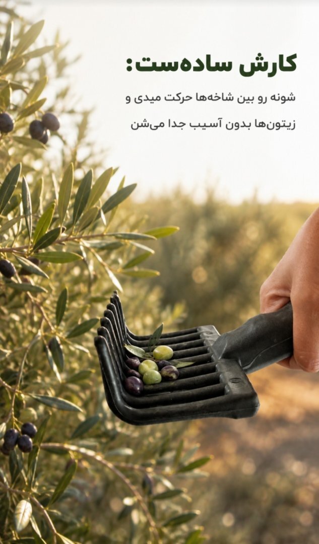 شانه زیتون چین اعتدادصنعت 2