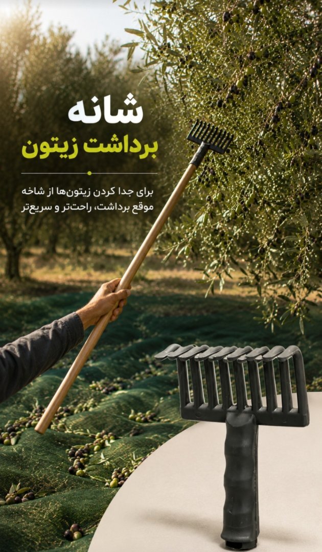 شانه زیتون چین اعتدادصنعت 4