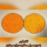 فریر برای هر تولید، یک راهکار رنگ در صدتیک