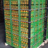 نبشی پلاستیکی برای بسته بندی کالا