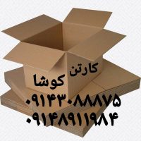 کارتن سازی کوشا