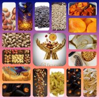 تولیدکننده و صادرکننده میوه‌های تازه فصلی