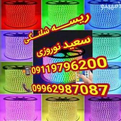 Negar_1763463014012_744361-1