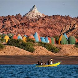 WhatsApp-Image-2025-12-08-at-11.24.09