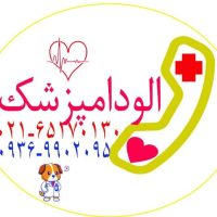 دامپزشکی سیار الو دامپزشک