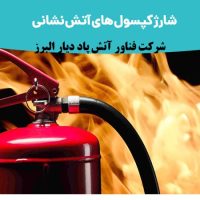 شرکت آتش پاد دیار البرز