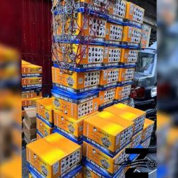 ترموستات-باباپارت-04