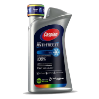 پخش ضد یخ کاسپین چهار فصل بسته۱۶عددی ۱ لیتری