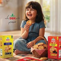 فروش کلوچه صادراتی DSN (دوستی ، ثروت ، نعمت)