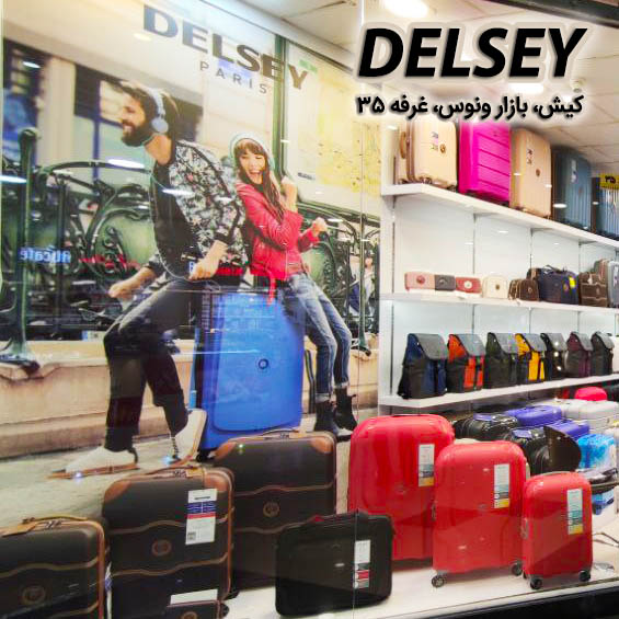 فروش کیف و چمدان DELSEY