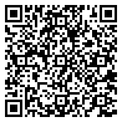QR کلاه های حرفه ای دوچرخه