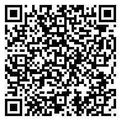 QR لوازم یدکی خودرو چینی 133