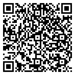 QR لوازم یدکی خودرو چینی 133