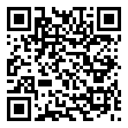 QR ۲ عدد تابلو دست ساز؛رنگ روغن ،بامتریال خارجی