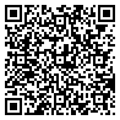 QR صندل طبی زنانه چرمی