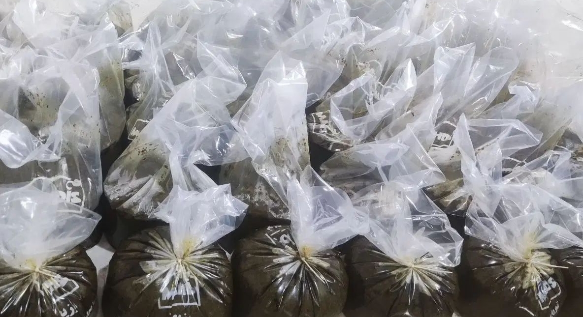 سبزی قورمه سرخ شده 2