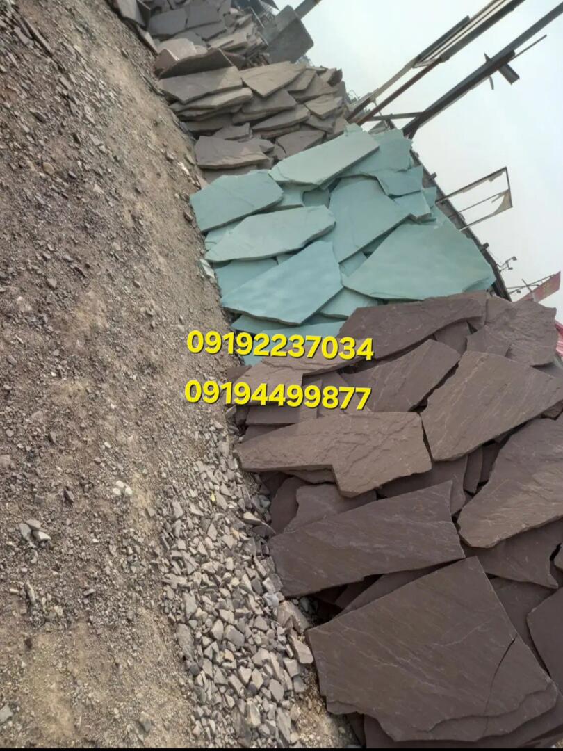 09194499877