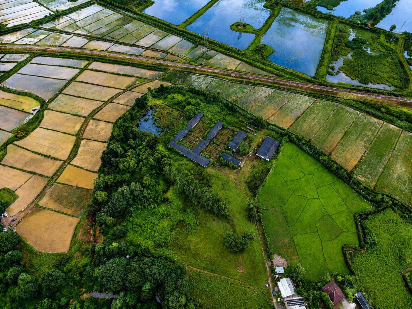 فروش 4 هکتار زمین برای فعالیت صنعتی وکشاورزی 2