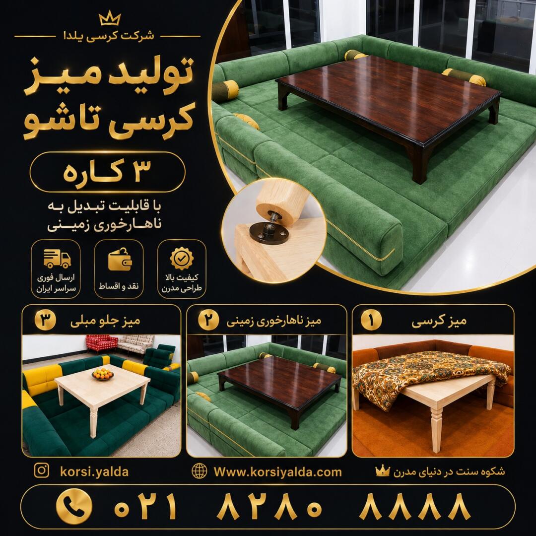 کرسی برقی ژاپنی ناسیونال اصل ژاپن توشیبا 3