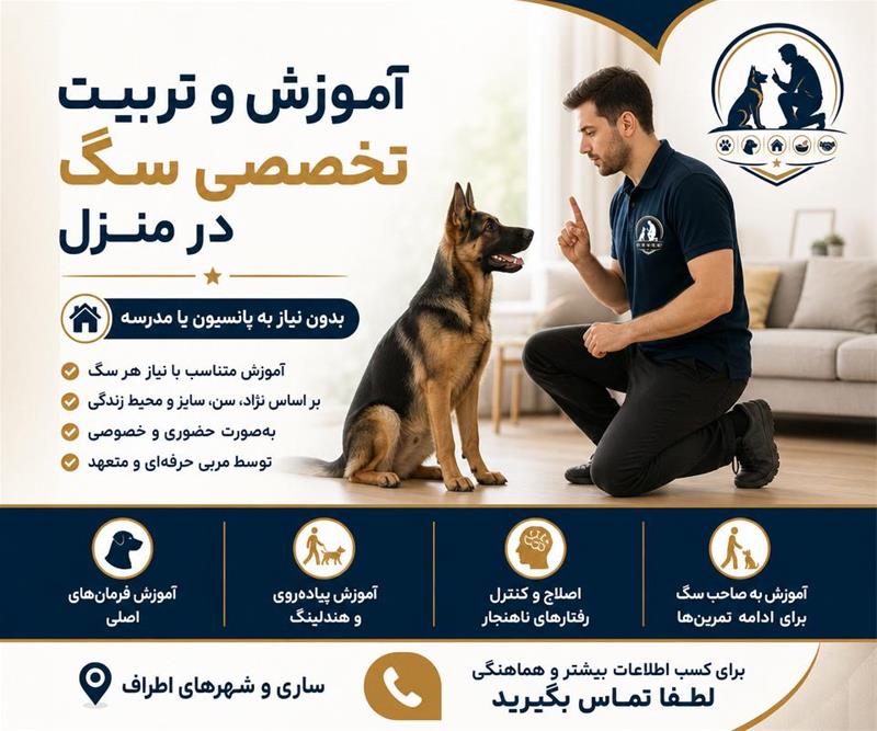 مربی سگ در ساری /تربیت و آموزش تخصصی سگ 2
