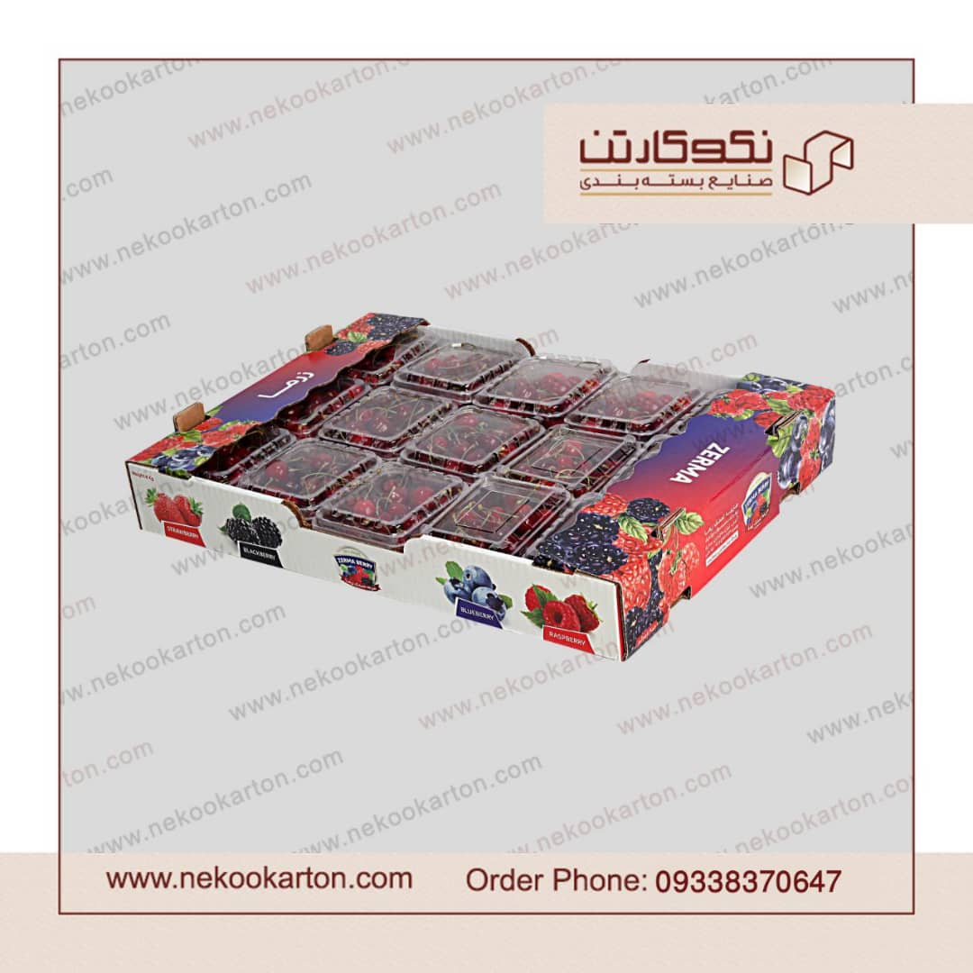 تولید کارتن صادراتی میوه و سبزیجات 2
