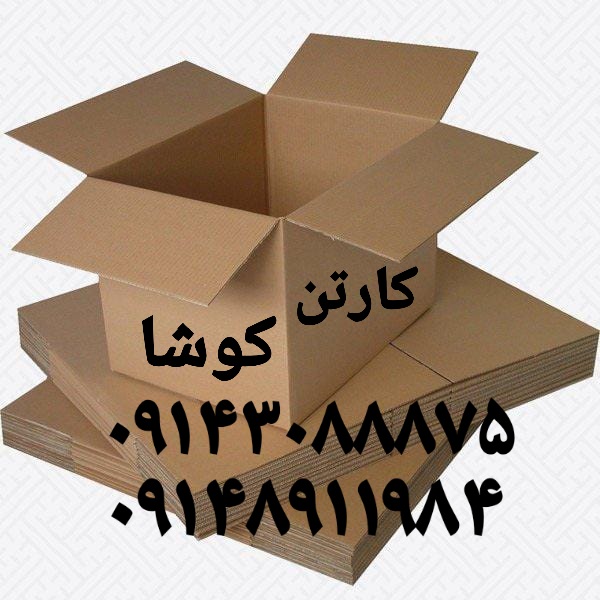 کارتن سازی کوشا