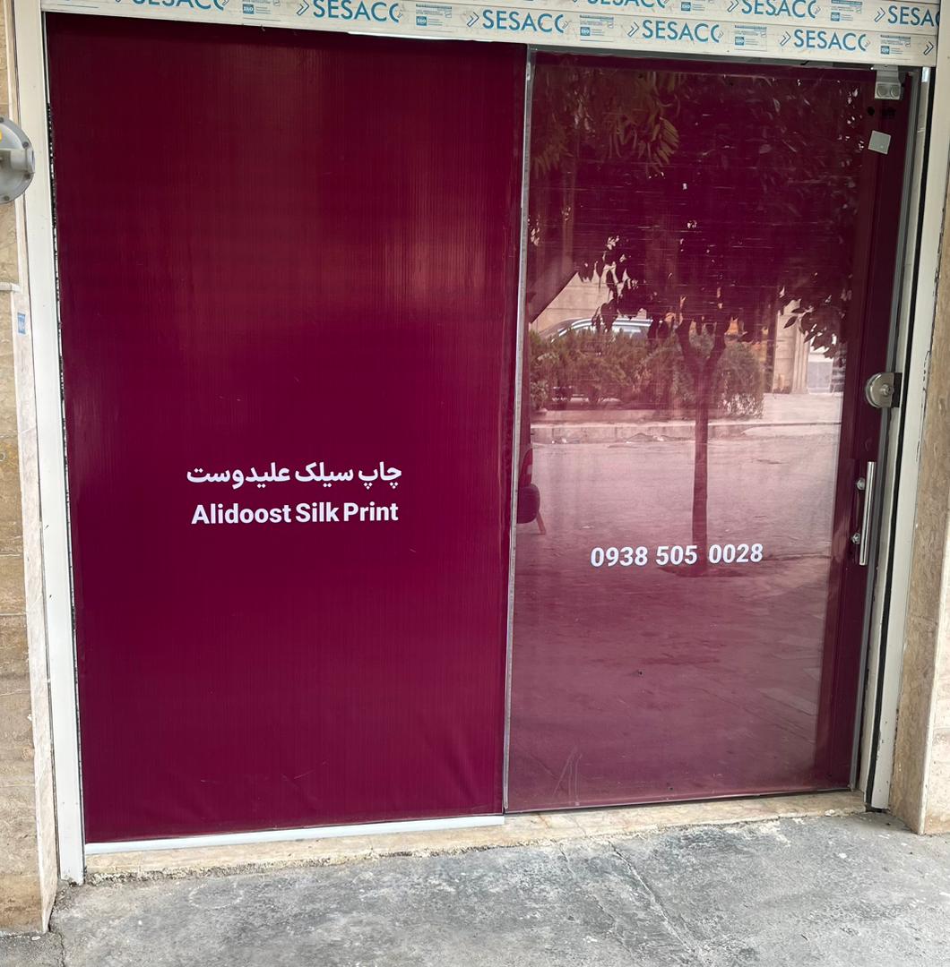 مجتبی علیدوست