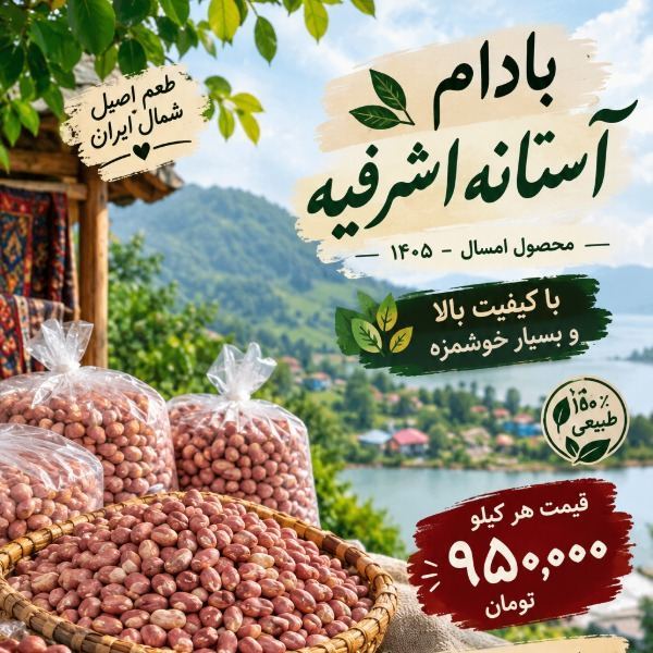 فروش بادام زمینی درجه یک آستانه اشرفیه 1405