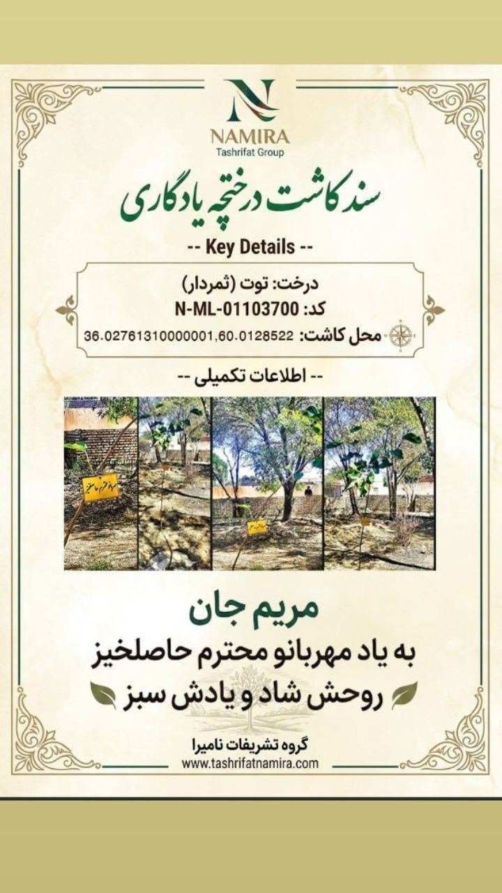 کاشت درخت و نهال-اموات-درختچه یادگاری-نامیرا 2