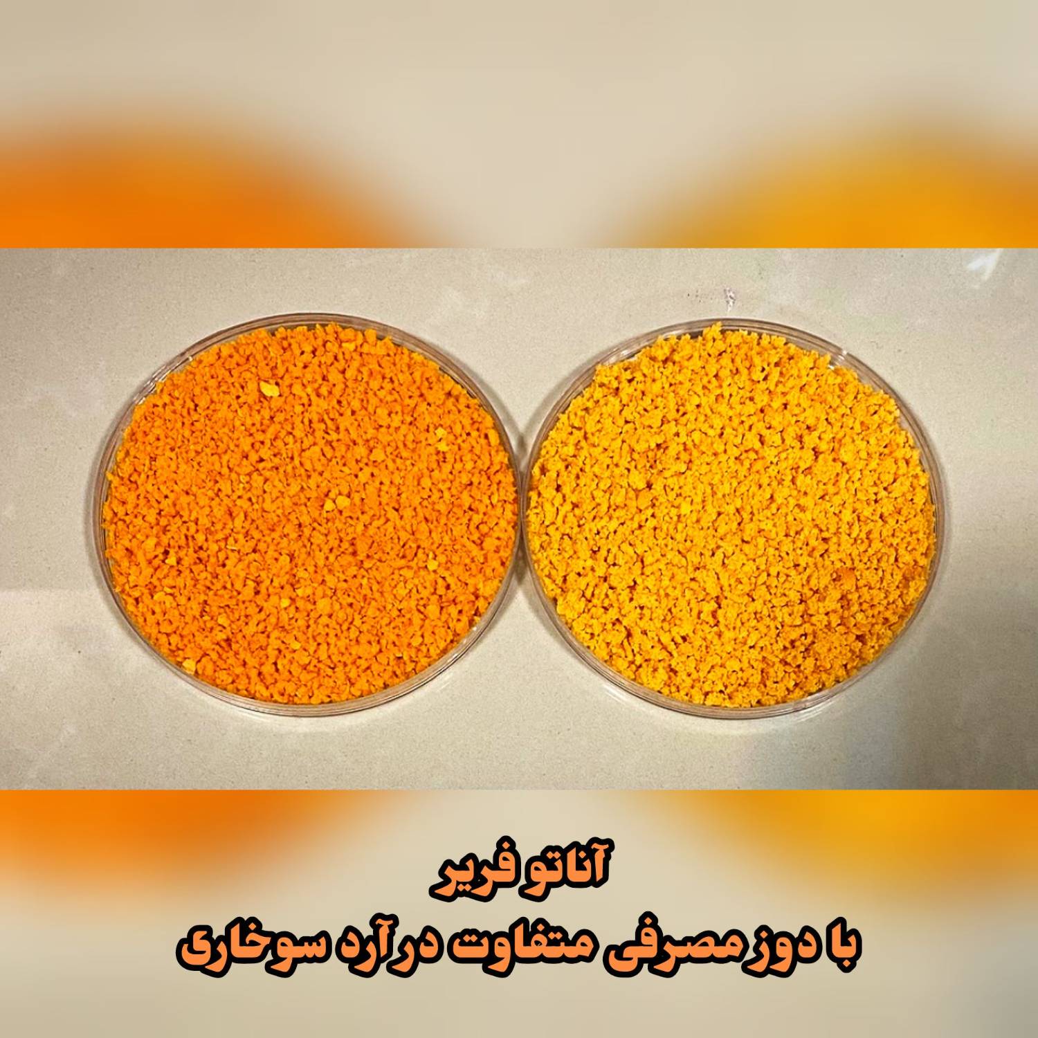 رنگ فریر؛ برای هر خط تولید غذایی 2